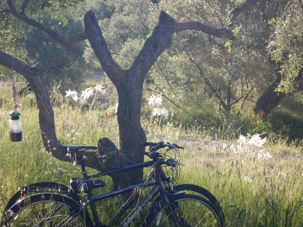 La Jacaranda Eco Relaxation Farm Hotel Corbera 0*,  Spain