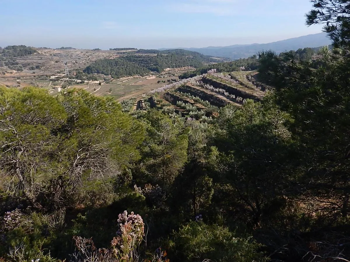 La Jacaranda Eco Relaxation Farm Hotel Corbera Spain
